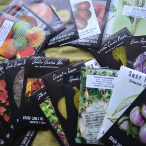 It’s seed ordering time, y’all!